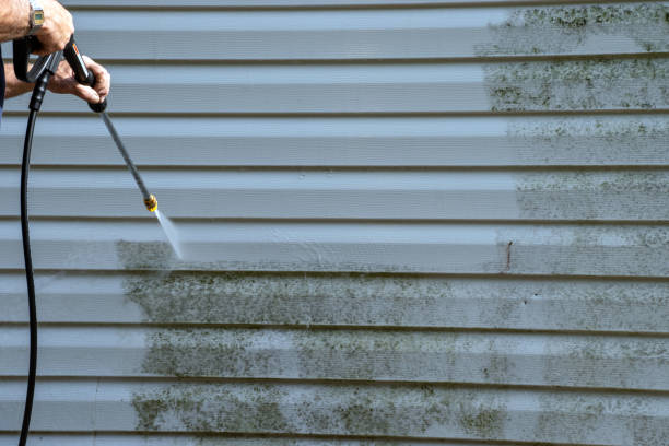 Best Attic Cleanout  in Dorr, MI